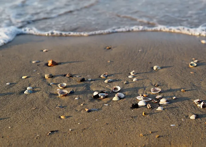 Homely One Bedroom Flat With Side Sea View ビビオーネ